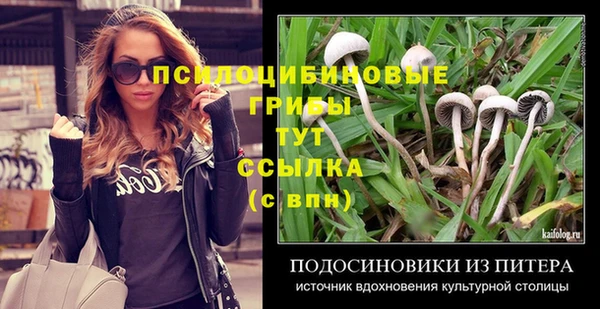дурь Абинск