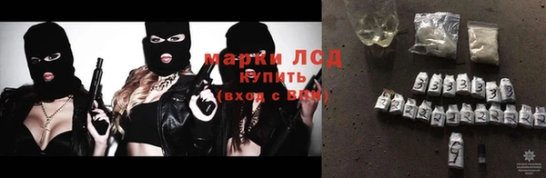 стаф Алексин
