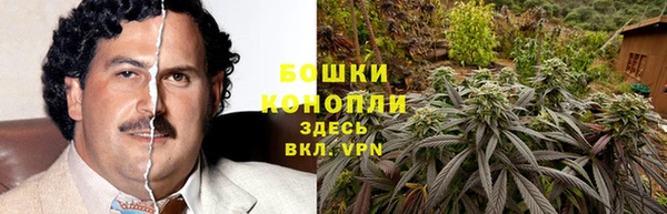 PSILOCYBIN Абдулино