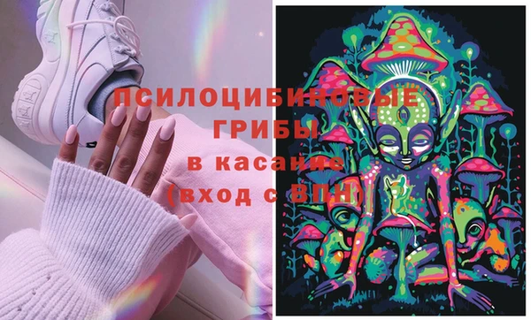спайс Абаза