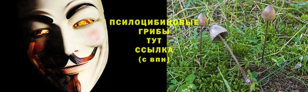 спайс Абаза