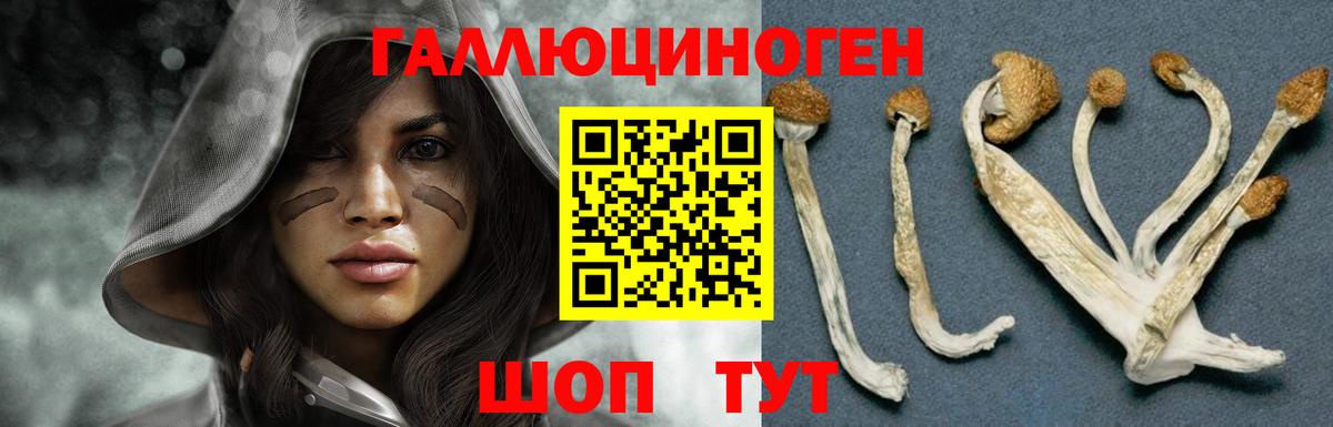 Соликамск  Галлюциногенные грибы MAGIC MUSHROOMS  Вход с VPN 