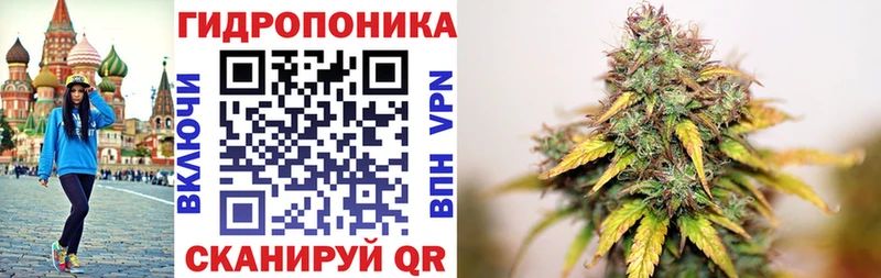 darknet состав  Соликамск  Канабис семена  магазин   